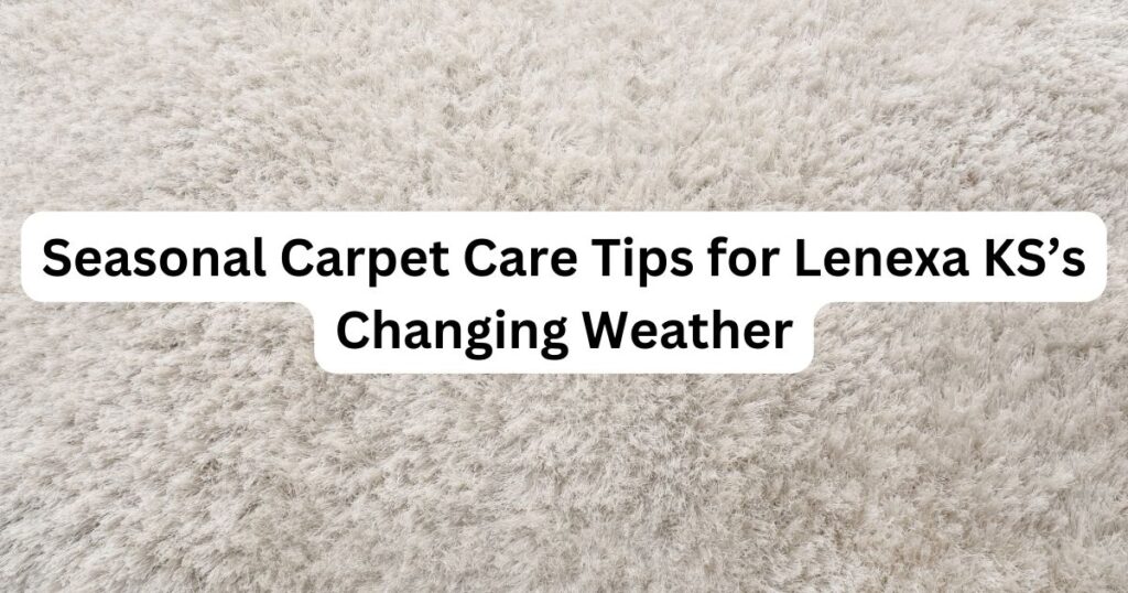 carpet gray color with Seasonal Carpet Care Tips for Lenexa KS’s Changing Weather