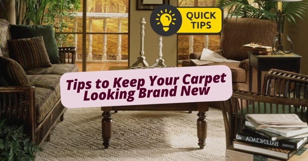 carpet project for tyrer with caption Tips to Keep Your Carpet Looking Brand New