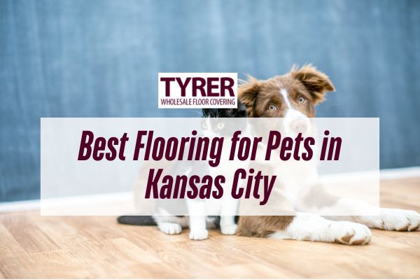 dog and cat in the pet friendly flooring Best Flooring for Pets in Kansas City