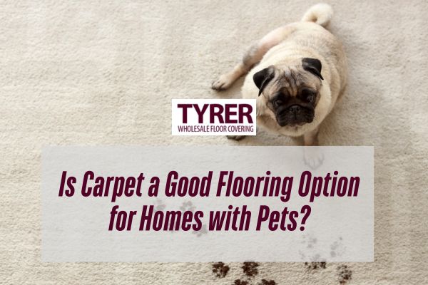 dog sitting in a carpet with a caption Is Carpet a Good Flooring Option for Homes with Pets